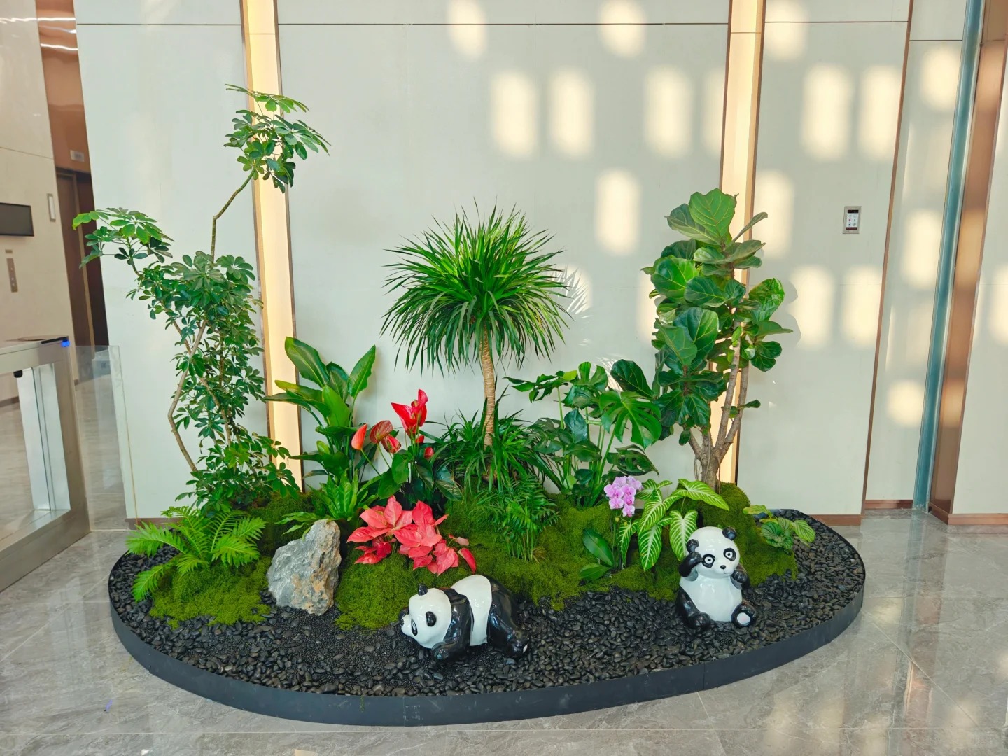 专业打造北仑植物租摆，营造舒适宜人氛围