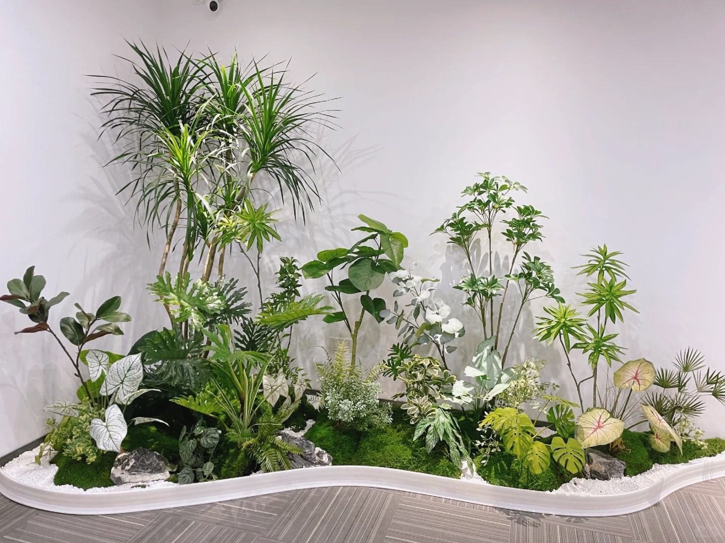 体验前湾花木租赁，优质服务让绿植焕发生机！